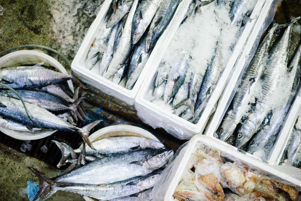 Fishing company Terrasan nets private equity deal